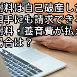 慰謝料は自己破産した離婚相手にも請求できる？慰謝料・養育費が払えない場合は？